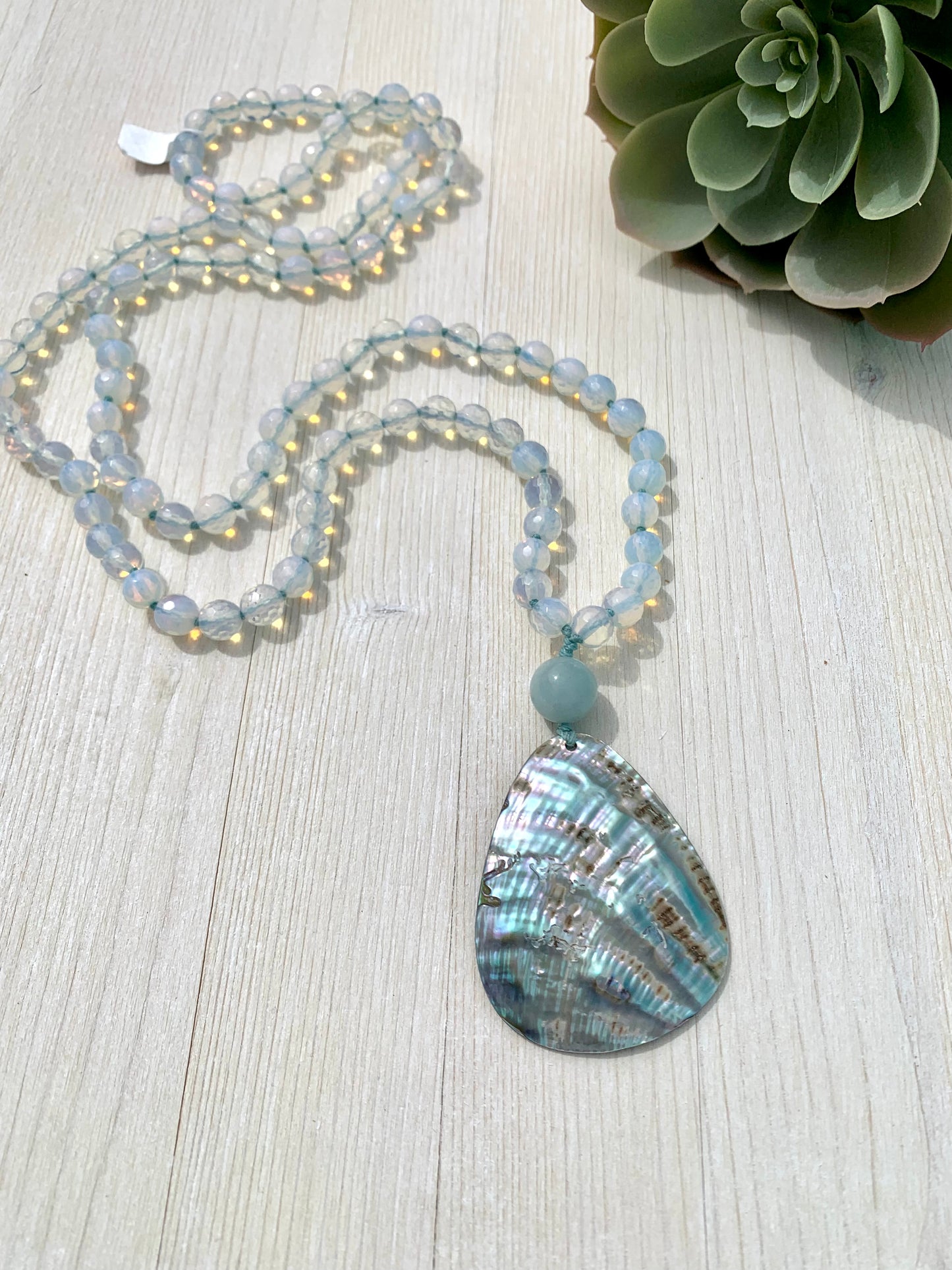Abalone mala